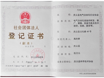 電氣自動(dòng)化行業(yè)協(xié)會(huì)副本